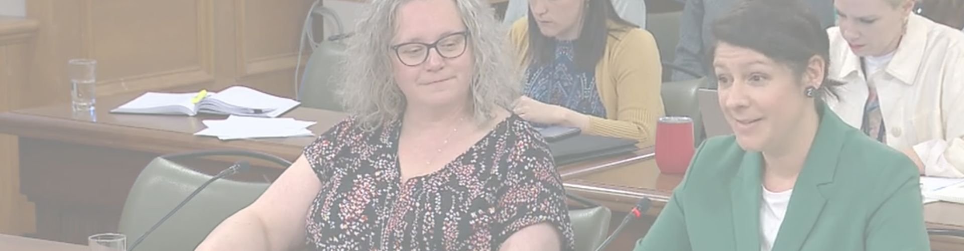 OSFQ : Ordre des sages-femmes du Québec